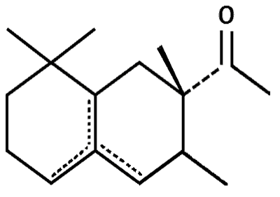 ANTHAMBER